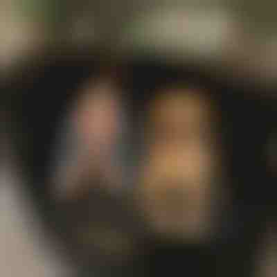 Αδιάβροχο κάλυμμα πίσω καθίσματος αυτοκινήτου για σκύλους | CARIPET